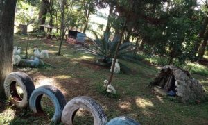 Sítio com 6050m², 3 dormitórios, Nao suíte, no bairro Interior em Marau