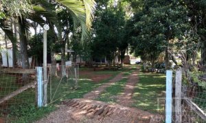 Sítio com 6050m², 3 dormitórios, Nao suíte, no bairro Interior em Marau