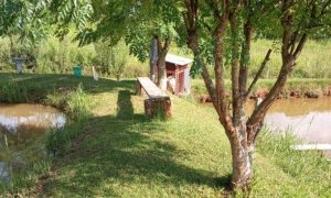 Sítio com 6050m², 3 dormitórios, Nao suíte, no bairro Interior em Marau