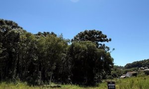 Terreno com 320m², Nao suíte, no bairro Borges de Medeiros em Marau