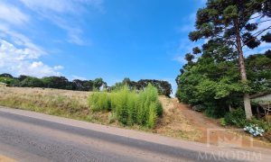 Área com 10000m², Nao suíte, no bairro Interior em Marau