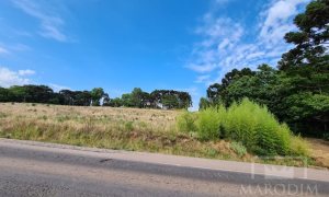 Área com 10000m², Nao suíte, no bairro Interior em Marau