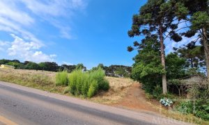 Área com 10000m², Nao suíte, no bairro Interior em Marau