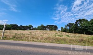 Área com 10000m², Nao suíte, no bairro Interior em Marau