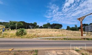 Área com 10000m², Nao suíte, no bairro Interior em Marau