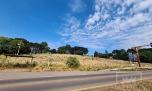 Área com 10000m², Nao suíte, no bairro Interior em Marau