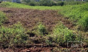 Terreno com 1500m², Nao suíte, no bairro Villa Bella em Marau