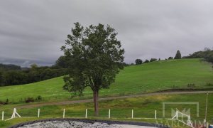 Salas/Conjuntos com 150m², Nao suíte, no bairro Interior em Marau