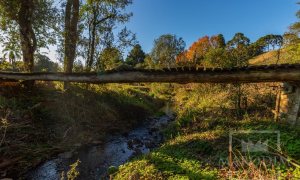 Sítio com 12000m², 1 dormitório, Nao suíte, no bairro Interior em Marau