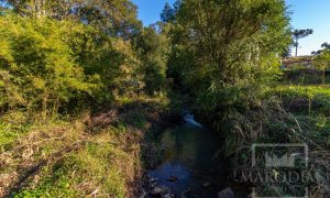 Sítio com 12000m², 1 dormitório, Nao suíte, no bairro Interior em Marau
