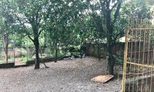 Casa com 100m², 5 dormitórios, Nao suíte, 2 vagas, no bairro Santa Isabel em Marau