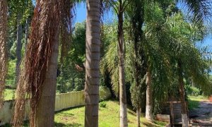 Chácara com 199m², 3 dormitórios, Nao suíte, 2 vagas, no bairro Interior em Marau