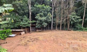 Terreno com 555m², Nao suíte, no bairro Carolo em Marau