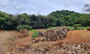 Terreno com 555m², Nao suíte, no bairro Carolo em Marau