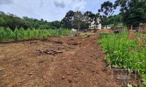 Terreno com 555m², Nao suíte, no bairro Carolo em Marau