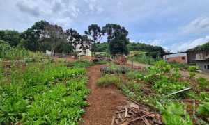 Terreno com 555m², Nao suíte, no bairro Carolo em Marau