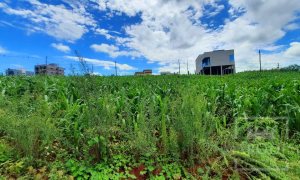 Terreno com 309m², Nao suíte, no bairro Villa Bella em Marau