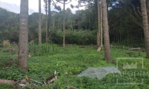 Sítio com 1150m², Nao suíte, no bairro Interior em Marau