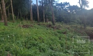 Sítio com 1150m², Nao suíte, no bairro Interior em Marau