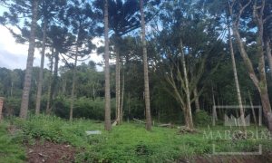 Sítio com 1150m², Nao suíte, no bairro Interior em Marau