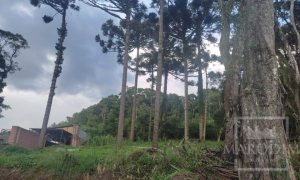 Sítio com 1150m², Nao suíte, no bairro Interior em Marau