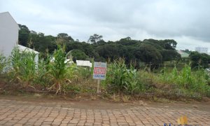 Terreno com 301m², Nao suíte, no bairro Loteamento São Luiz em Marau
