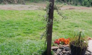 Chácara com 40m², 1 dormitório, Nao suíte, no bairro Interior em Marau