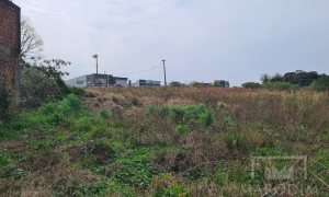 Terreno com 2388m², Nao suíte, no bairro Rodovia ERS 324 em Marau