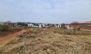Terreno com 2388m², Nao suíte, no bairro Rodovia ERS 324 em Marau