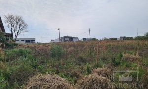 Terreno com 2388m², Nao suíte, no bairro Rodovia ERS 324 em Marau