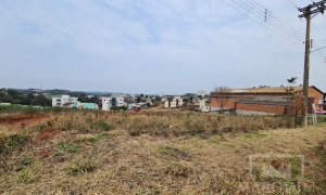 Terreno com 2388m², Nao suíte, no bairro Rodovia ERS 324 em Marau