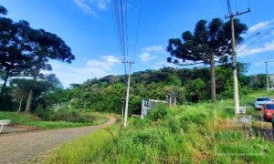 Terreno com 686m², Nao suíte, no bairro Loteamento Scortegagna em Marau