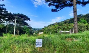 Terreno com 686m², Nao suíte, no bairro Loteamento Scortegagna em Marau
