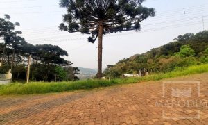 Terreno com 686m², Nao suíte, no bairro Loteamento Scortegagna em Marau