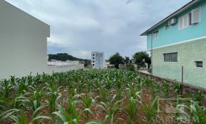 Terreno com 371m², Nao suíte, no bairro Loteamento Santin em Marau
