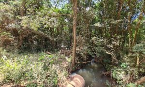 Área com 4000m², Nao suíte, no bairro Interior em Marau