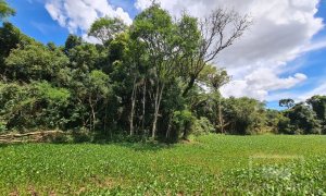 Área com 4000m², Nao suíte, no bairro Interior em Marau