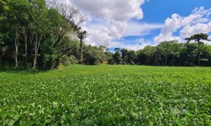 Área com 4000m², Nao suíte, no bairro Interior em Marau