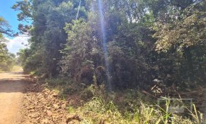 Área com 4000m², Nao suíte, no bairro Interior em Marau