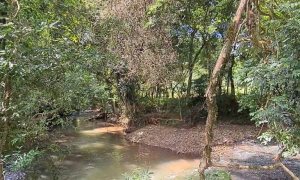 Área com 4000m², Nao suíte, no bairro Interior em Marau