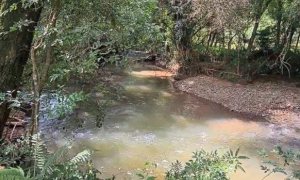 Área com 4000m², Nao suíte, no bairro Interior em Marau