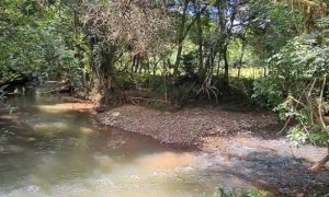 Área com 4000m², Nao suíte, no bairro Interior em Marau