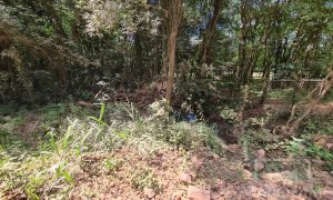 Área com 4000m², Nao suíte, no bairro Interior em Marau