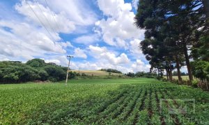 Área com 8500m², Nao suíte, no bairro Interior em Marau
