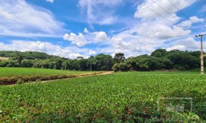 Área com 8500m², Nao suíte, no bairro Interior em Marau