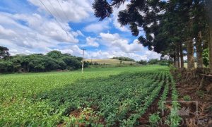 Área com 8500m², Nao suíte, no bairro Interior em Marau