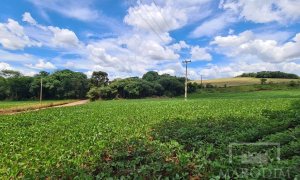Área com 8500m², Nao suíte, no bairro Interior em Marau