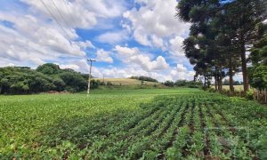 Área com 8500m², Nao suíte, no bairro Interior em Marau