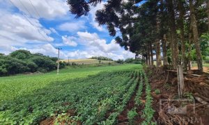 Área com 8500m², Nao suíte, no bairro Interior em Marau