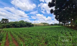 Área com 8500m², Nao suíte, no bairro Interior em Marau